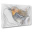 Charming Robin Bird - Wrapped Canvas-56647038