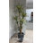 102'' Faux Agave Tree