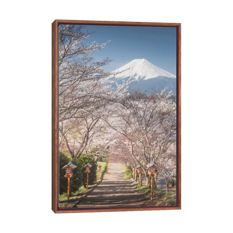Spring In Japan I by Daniel Kordan - Print on Canvas, Classic Brown Wood Framed, 66.04 cm H x 45.72 cm W
