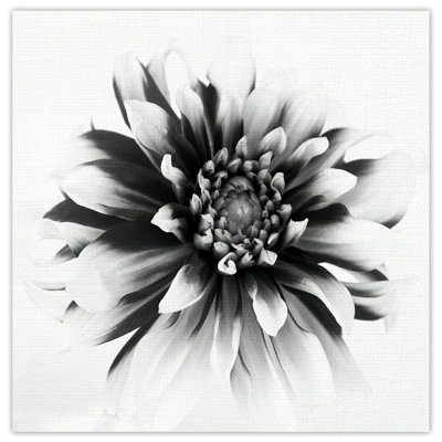 " Daylight I " by Ilona Wellmann