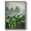 Temple of Flora XI Framed Print - Solid Wood-1599410125