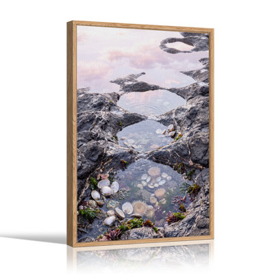 «Rocky Tide Pools with Pink Sky and Shells», art mural sur toile