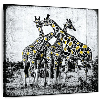 Girafes pop