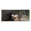 Twin Size Loft Bed With Storage Staircase And Window, With LED Light, Grey