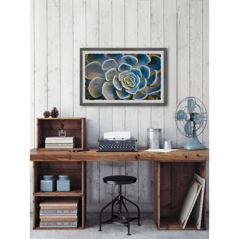 Budding Succulent - Single Picture Frame Painting, 61 cm H x 91 cm W