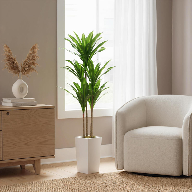 Arbre Dracaena exotique artificiel - plante artificielle réaliste avec pot blanc et base en ciment, verdure synthétique en PE et en soie, tiges réglables, décoration intérieure sans entretien pour la maison, le bureau, l'entrée