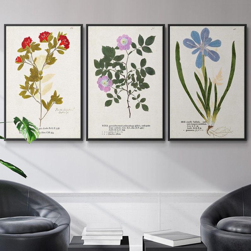 Nature imprimé Botanicals V - ensemble de 3 reproductions sur toile, Noir, H 36 po x l 72 po