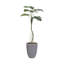 70,1 po Faux Philodendron plante en pot
