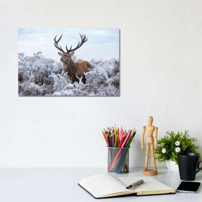 Fine Frosty Fellow 1 Piece Wrapped Canvas Wall Art