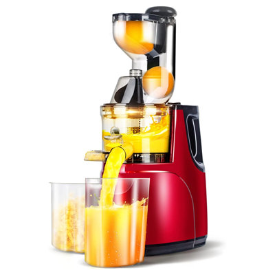 Slow Masticating Juicer Cold Press Juice Extractor Apple Orange Citrus Juicer Machine with Wide Chute Quiet Motor for Fruit Vegetables