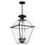 Boto Outdoor Hanging Lantern-64519772-32060560