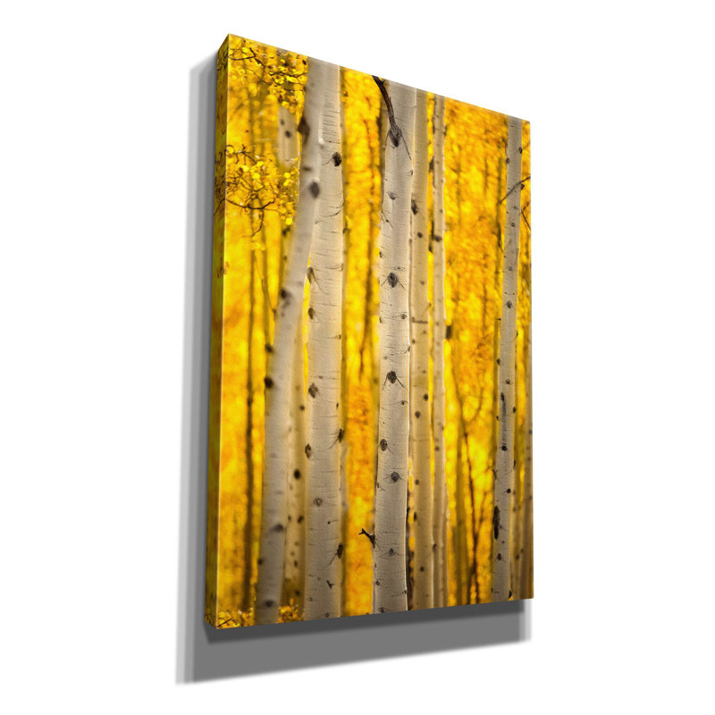 Art mural sur toile «Aspen Trees» par Jonathan Ross, H 18 po x l 12 po x P 0,75 po