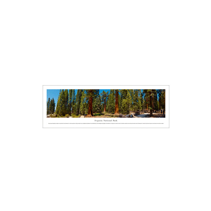 Sequoia National Park Panoramic Print, Unframed, 13.5" H x 40" W