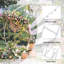Arche de mariage ronde robuste-1725447416