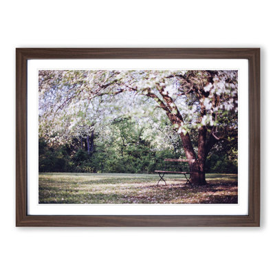 Single Picture Frame Print