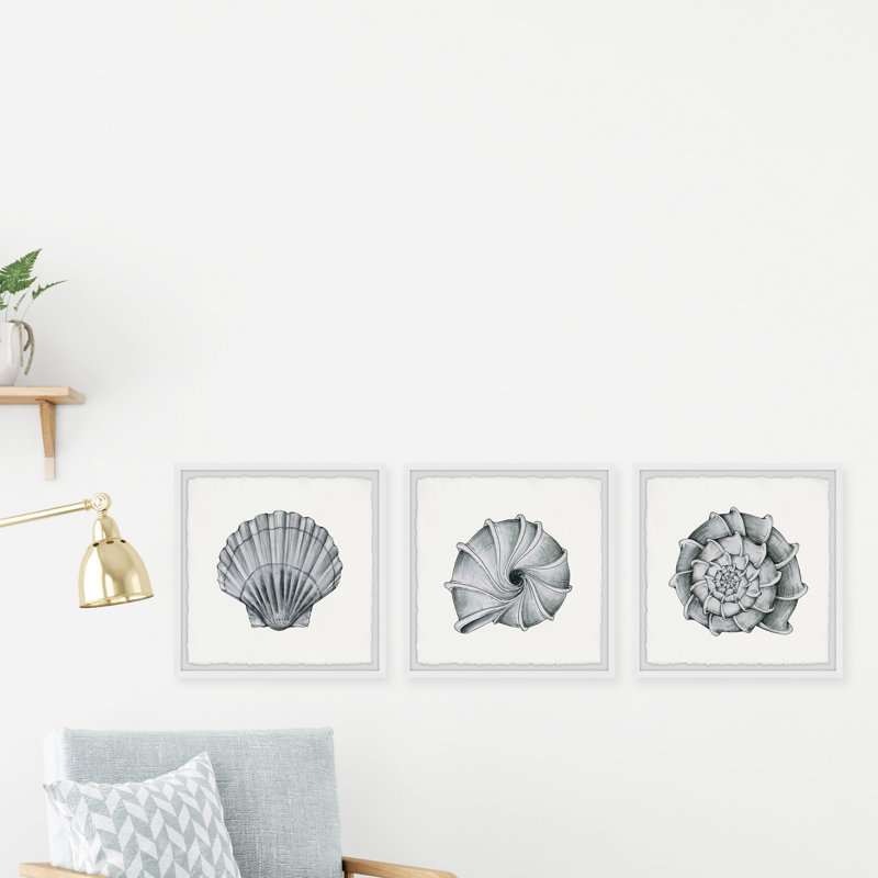 Pretty Shells - 3 Piece Single Picture Frame Painting, 45cm H x 45cm W