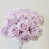 Mauve lilas est en rupture de stock
