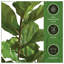 Faux Fiddle Leaf Fig Plant in Pot