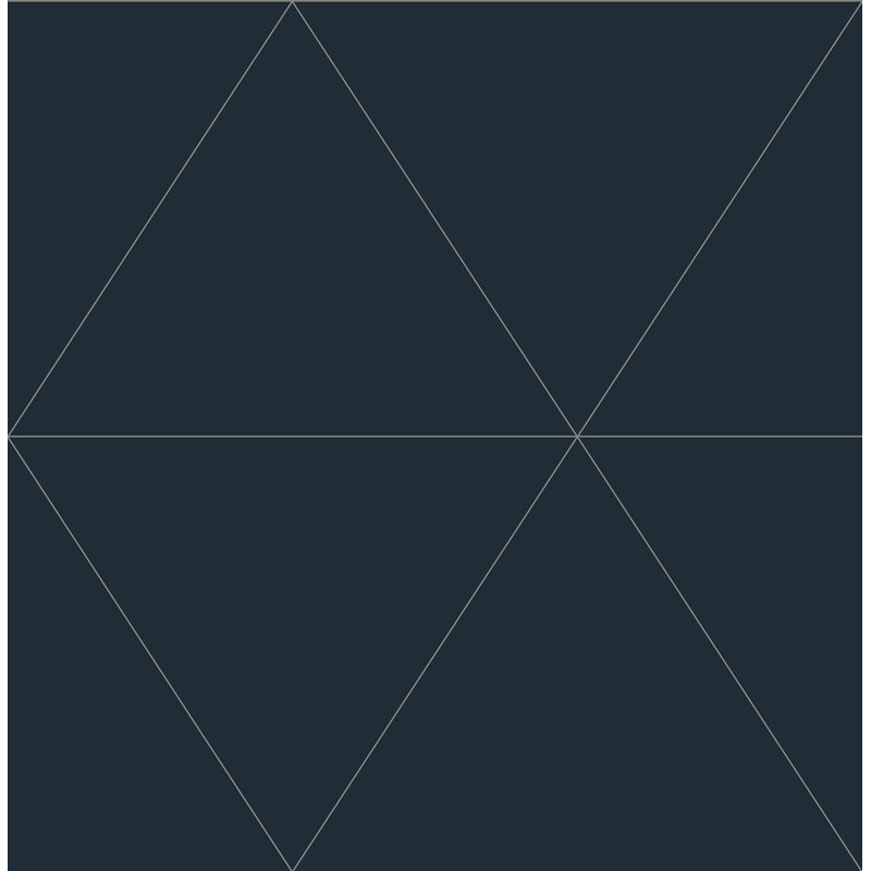 Rouleau de papier peint lisse L 30 pi x l 20,5 po Alaze Twilight, Noir