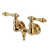 Polished Brass