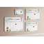 Marcolina Cork Corkboard / Bulletin Board