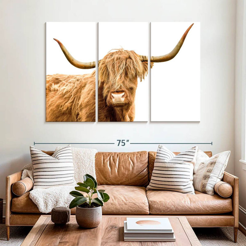 Brampt qui vous regarde, vache Highland écossaise, H 42 po x l 65 po