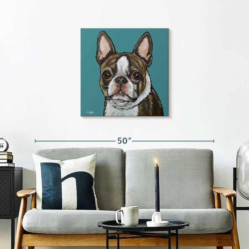 Brampt Sasha Boston Terrier sur sarcelle, H 24 po x l 24 po