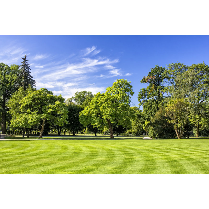 Lazienki Royal Park by Ewg3D, 32" H x 48" W