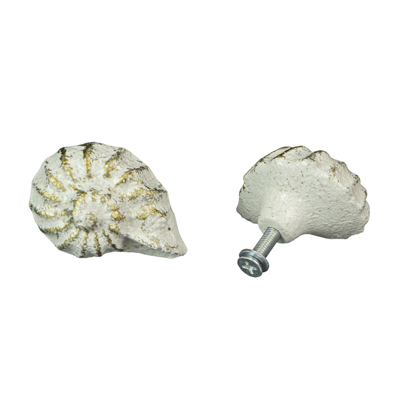Multipack Nautilus Shell, Blanc
