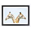Giraffes Looking Both Ways - Picture Frame Graphic Art Print-56713552-56713551