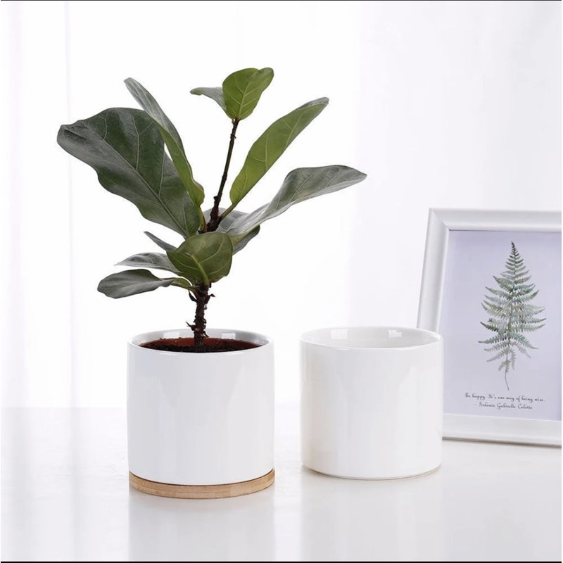 Pot à fleurs en céramique 2 pièces 4,5 po, Blanc / gris