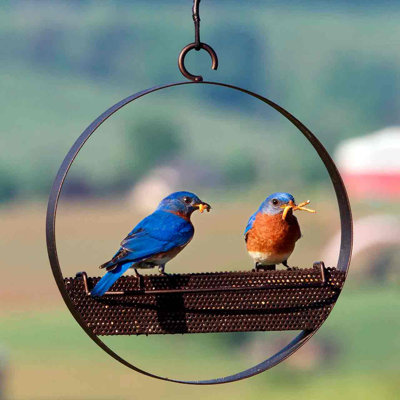 Mangeoire à oiseaux Dareen