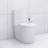 Elongated One Piece Toilet-109542934