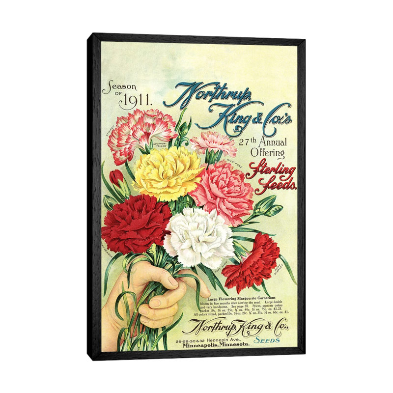 Sterling Seeds, 1911, From The Andersen Horticultural Library by Piddix - Print on Canvas, Black Framed