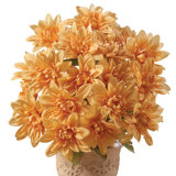 Mum Arrangement