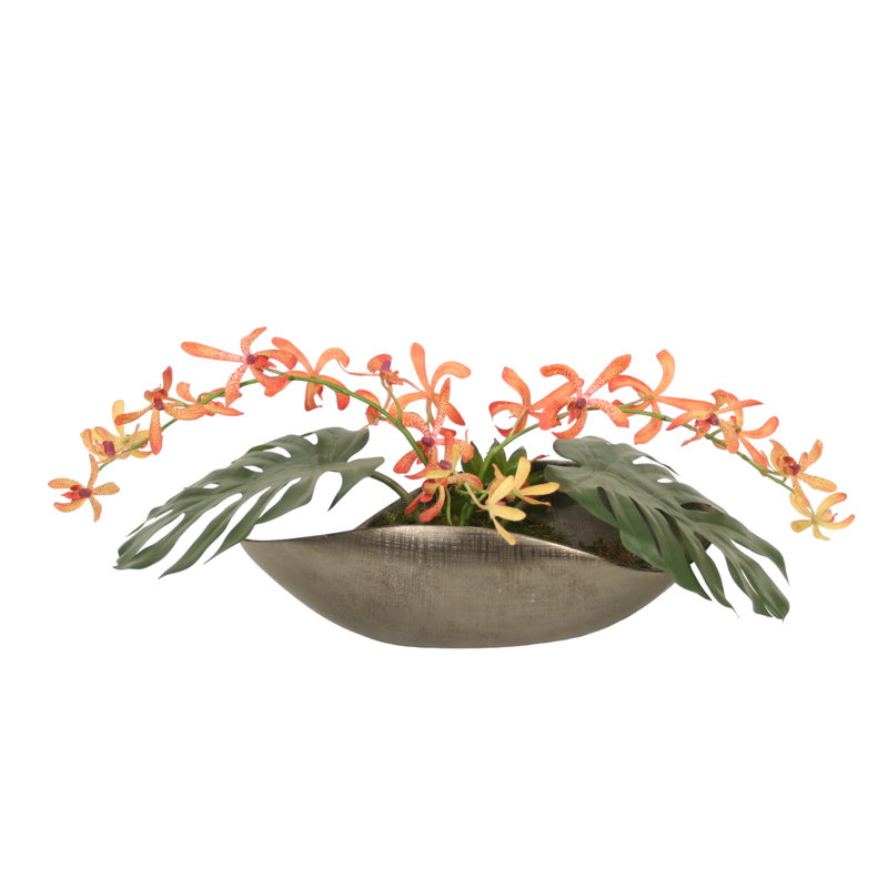 OrchidÃ©e Vanda Â« Coral Â» dans un pot incurvÃ© en Ã©tain