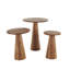 Ensemble de tables de bout Danna-1799369183
