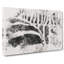The Stripes of the Zebra - Wrapped Canvas-56658799