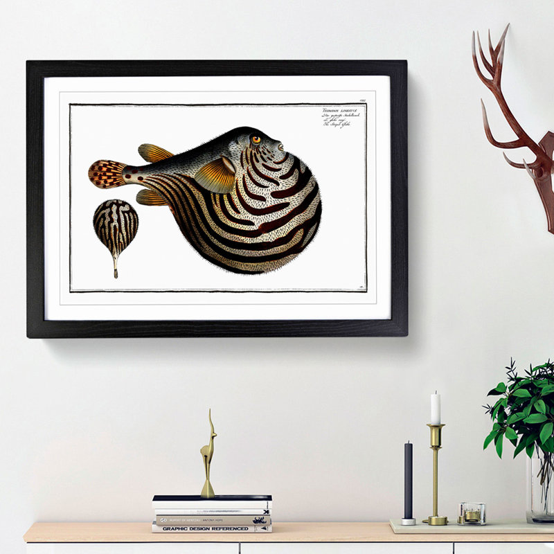 Striped Pufferfish by M.E. Bloch - Framed Print, Black Framed, 62cm H x 87cm W x 2cm D