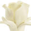 Rose on Stand Sculpture-22694739