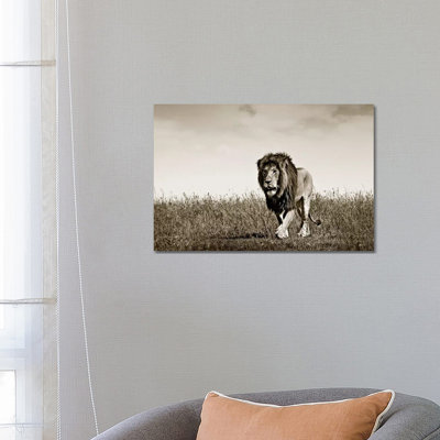 Purposeful Lion by Klaus Tiedge - Print on Canvas