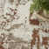 Bordas Machine Woven Abstract Area Rug