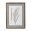 Framed Botanical Print