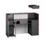 Bureau de réception avec lumières DEL - table de comptoir moderne pour la caisse, le hall d'entrée, le salon, la vente au détail, le magasin, la clinique et le bureau (noir)