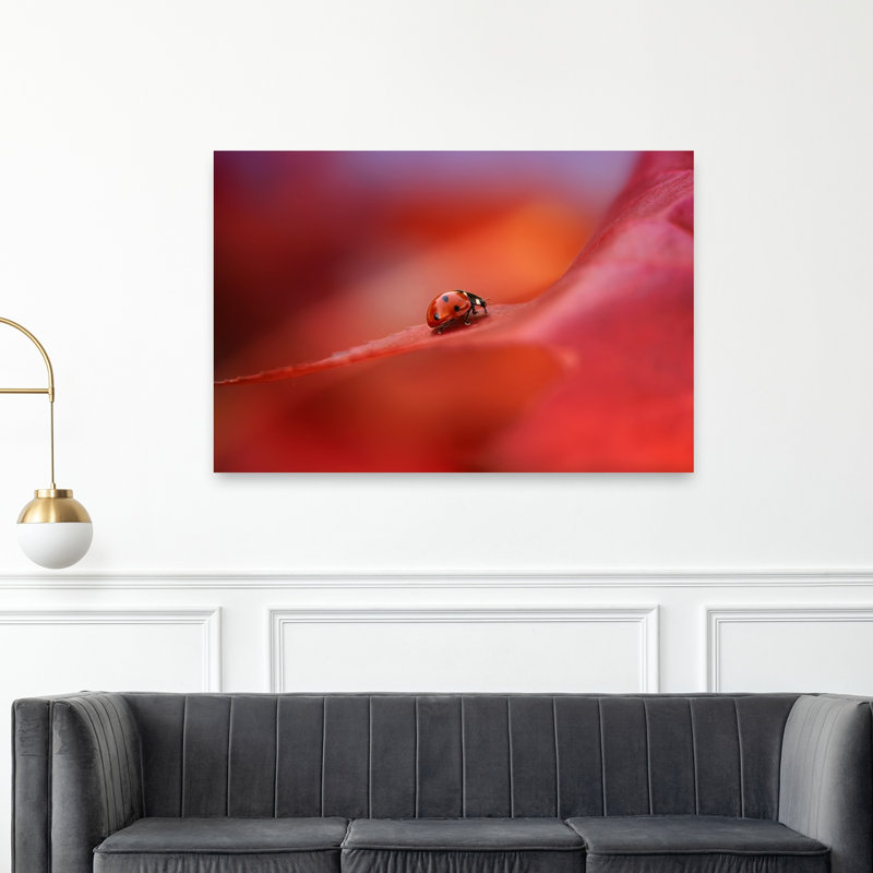 Ladybug On Red Leaf Delicate Serene Vibrant Ladybug Nature Spring Wall Art Print - Print, 101.6cm H x 152.4cm W