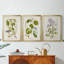 Arbre en fleurs I - Toile tendue avec châssis sur mesure - 3 pièces-117230173-117230177