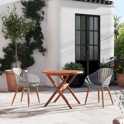 Anautica 2 - Person Patio Dining Set with Round Table