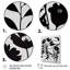 Fleurs noires et blanches II-87348429-87348421