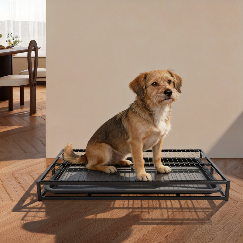 Dog Training Toilet With Pull-Out Tray