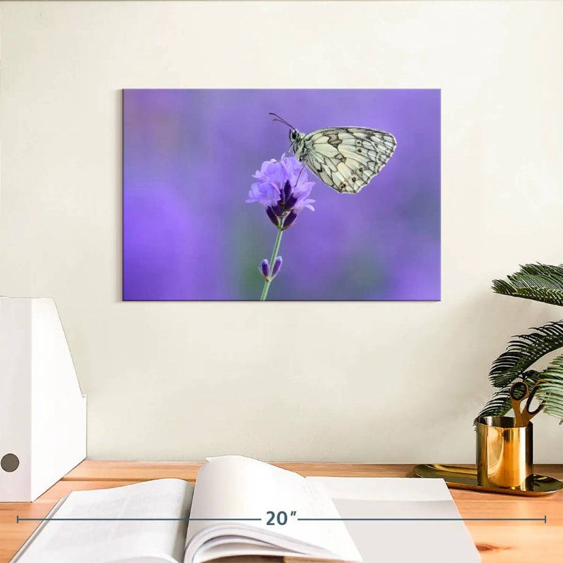 Brampt Marbled White Butterfly, 8" H x 12" W